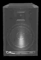speakerani.gif (9841 bytes)
